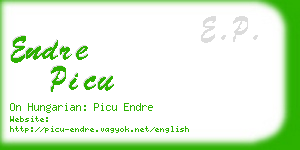 endre picu business card